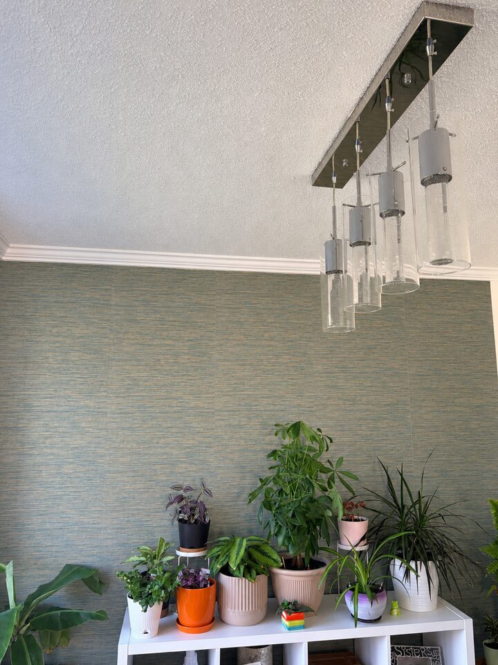Crown Fusion Plain Teal grasscloth-look wallpaper feature wall under a pendant light in Huntington Hills, Calgary
