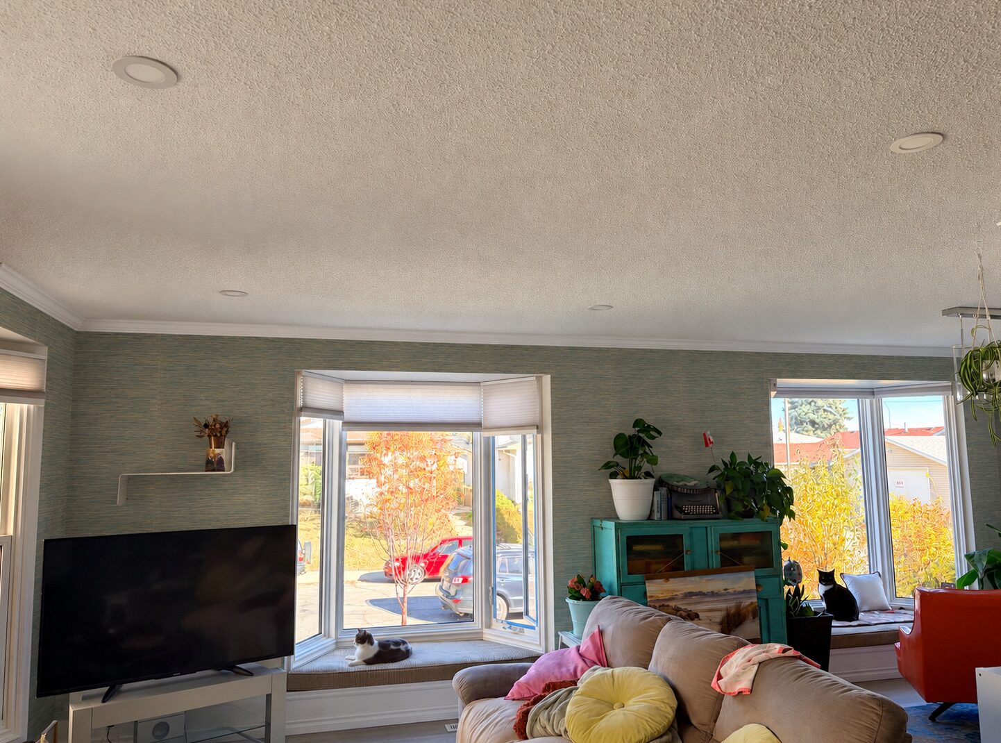 Teal grasscloth-look wallpaper around two bay windows in a Huntington Hills, NE Calgary living room