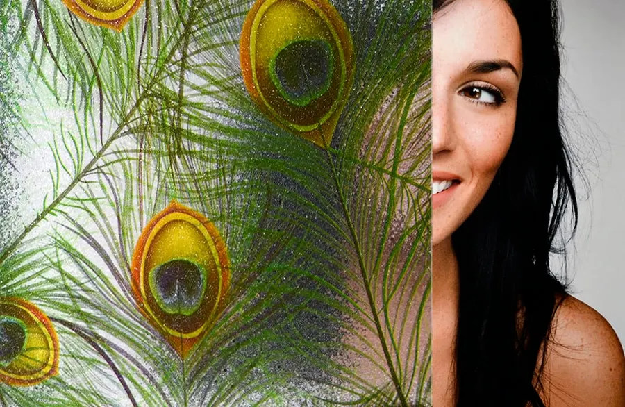 Peacock Feathers — More designs decorative window film for Calgary glass