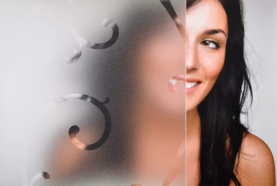 Frosted Vine — More designs decorative window film for Calgary glass