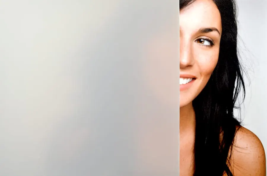 Dry Erase Fog — More designs decorative window film for Calgary glass