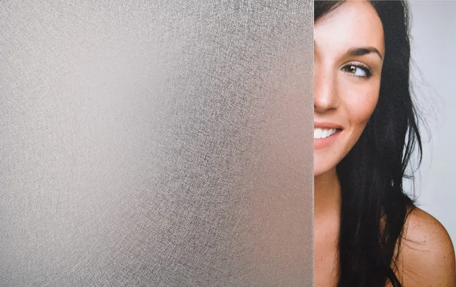 Web Effect — More designs decorative window film for Calgary glass