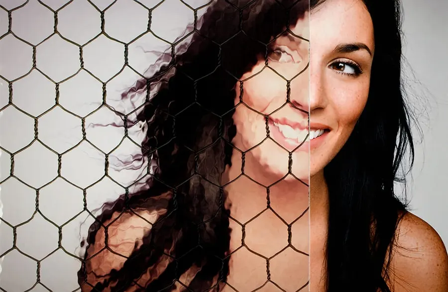 Vintage Chicken Wire — Geometric decorative window film for Calgary glass