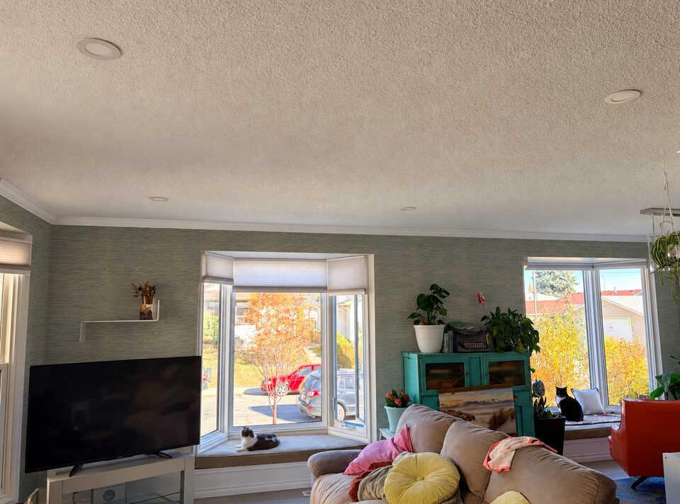 Teal grasscloth-look wallpaper around two bay windows in a Huntington Hills, NE Calgary living room